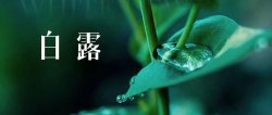 二十四骨氣白露——小露水奇遇記